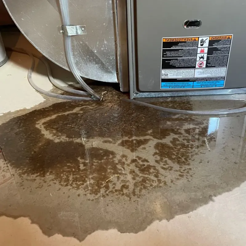 Pipe Burst and Leak Restoration in Stanton, NE
